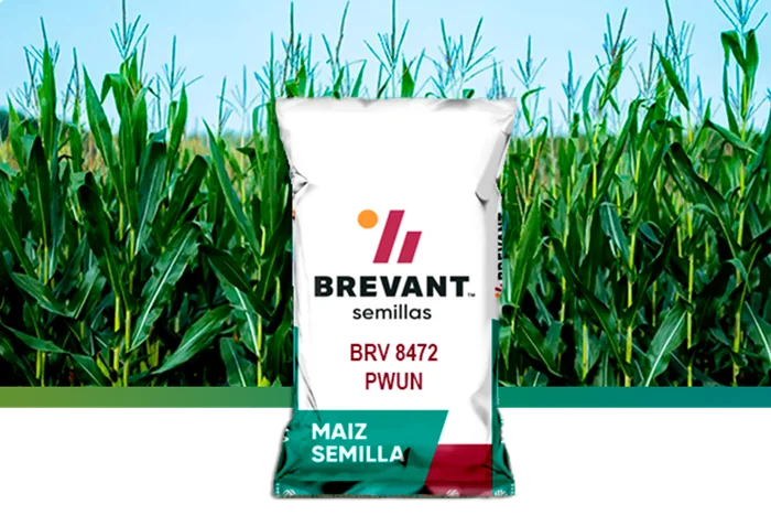 BRV 8472PWUE