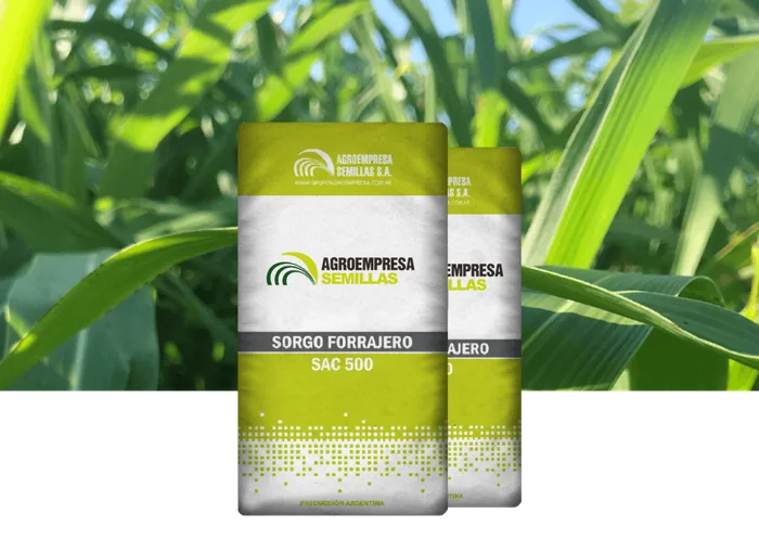 Sorgo Forrajero SAC 500