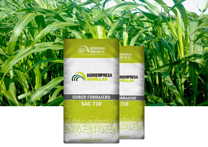Sorgo Forrajero SAC 710