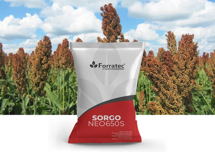 Sorgo Neo 650-s